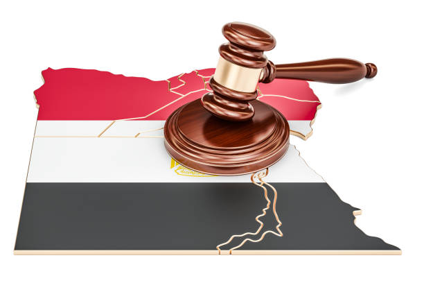 التقاضي في مصر 2026 | مؤسسة السعدني ومشاركوه